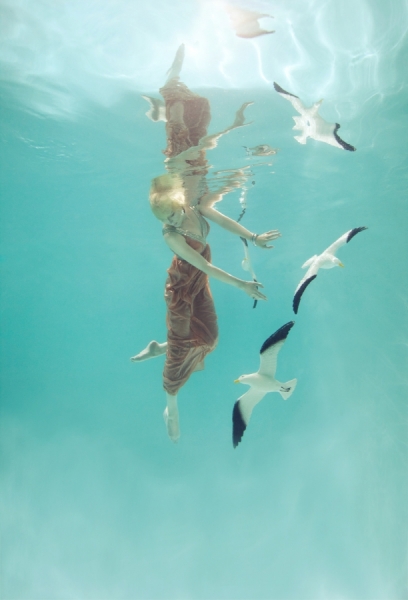 http://www.oneeyeland.com/photo4/editorial/one_eyeland_seagulls_by_mallory_morrison_75159.jpg