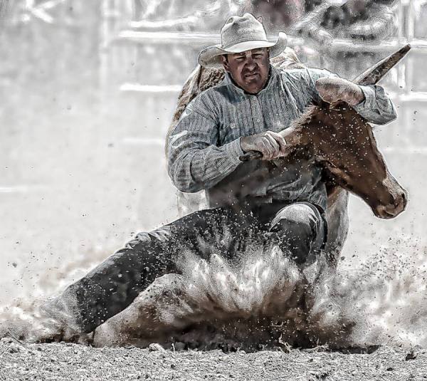 Steer Wrestler One by Steve